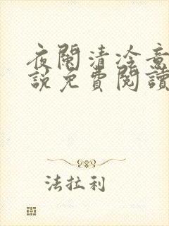 夜阑清冷意欢小说免费阅读