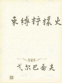束缚柠檬火焰封面