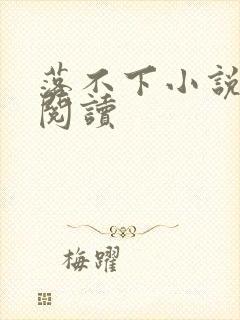 落不下小说免费阅读