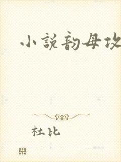 小说韵母攻略
