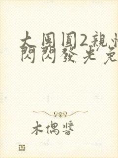 大团圆2亲情会闪闪发光免费封面