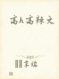 高h高辣文
