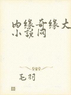 内缘奇缘大团圆小说网