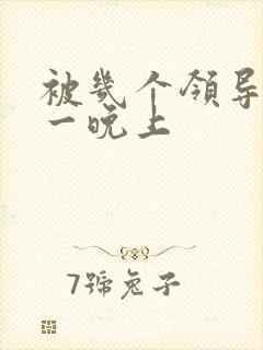被几个领导玩弄一晚上