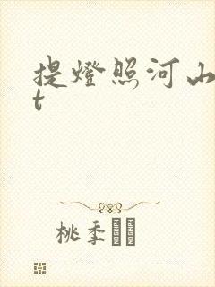 提灯照河山txt