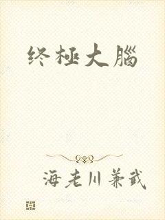 终极大脑