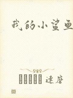 我的小鲨鱼