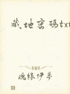 藏地密码txt