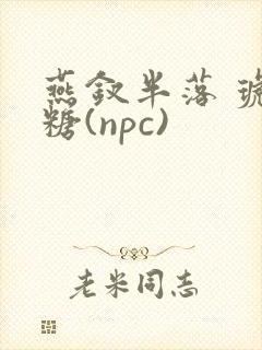 燕钗半落 琥珀糖(npc)