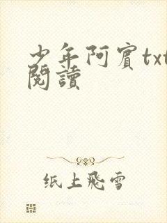 少年阿宾txt阅读