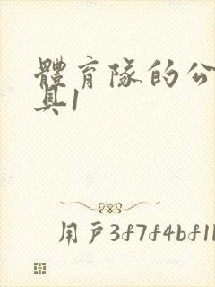 体育队的公用玩具1
