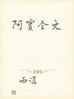 阿宾全文封面