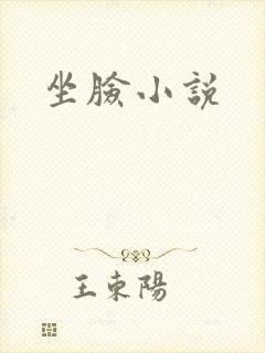 坐脸小说封面