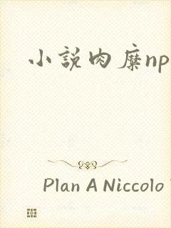 小说肉糜np