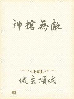神枪无敌封面