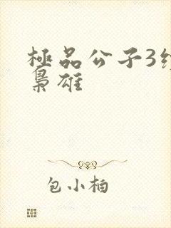 极品公子3续世枭雄封面
