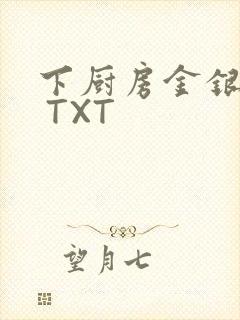 下厨房金银花露 TXT