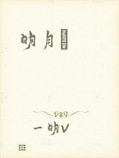 明月珰封面