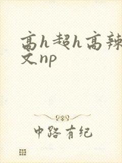 高h超h高辣h文np