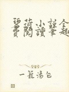 碧荷小说全文免费阅读笔趣阁