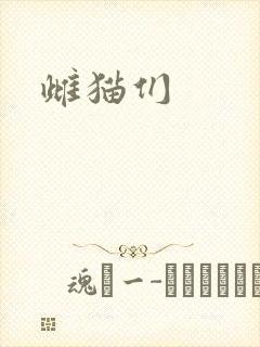 雌猫们