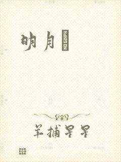 明月珰
