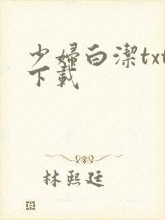 少妇白洁txt下载