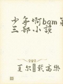 少年啊bgm第三部小说