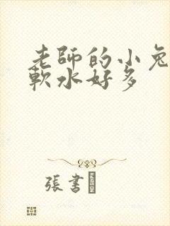 老师的小兔子好软水好多