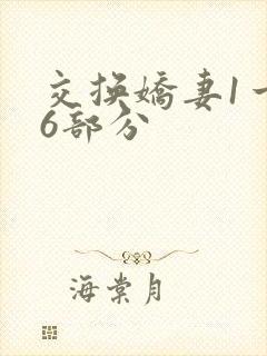 交换娇妻1一36部分