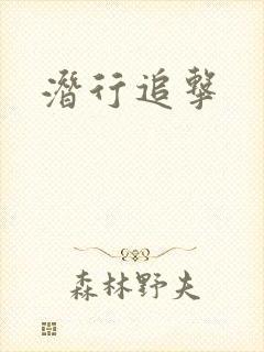 潜行追击