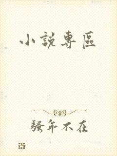 小说专区封面