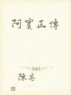 阿宾正传封面