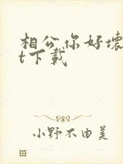 相公你好坏txt下载