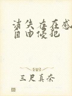 消失存在感消失自由侵犯封面