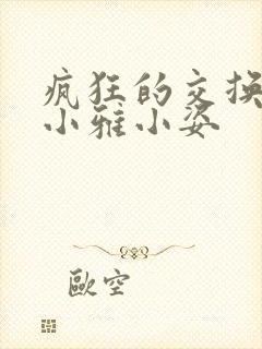 疯狂的交换小静小雅小姿