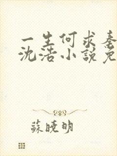 一生何求秦菲雪沈浩小说免费阅读全文封面