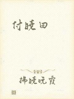 付晓田