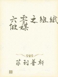 六零之组织给我做媒
