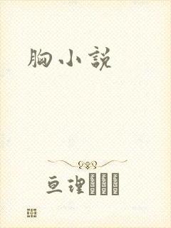 胸小说