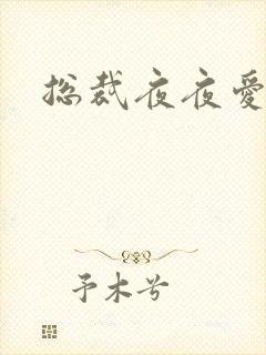 总裁夜夜爱