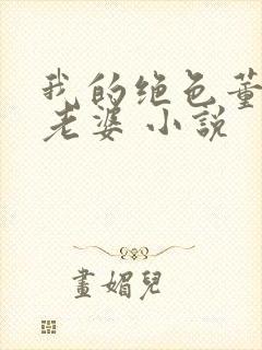 我的绝色董事长老婆 小说