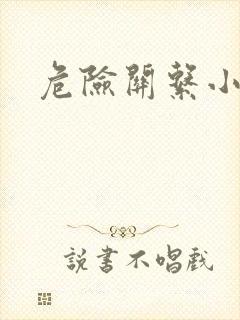 危险关系小说