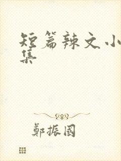 短篇辣文小说合集