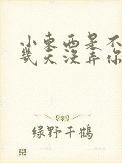 小东西是不是好几天没弄你了作文
