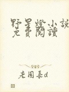 野星灯小说全文免费阅读