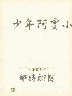 少年阿宾小说封面