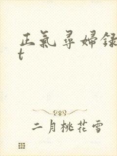 正气寻妇录txt