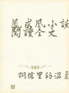 凤求凰小说免费阅读全文