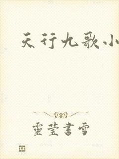 天行九歌小说